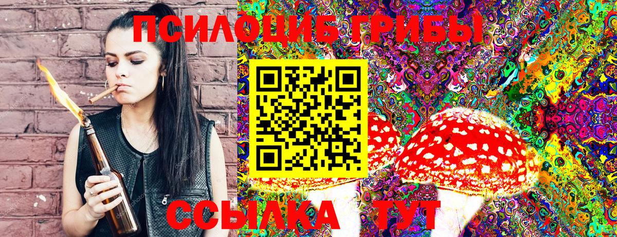 Псилоцибиновые грибы Psilocybe Гусев